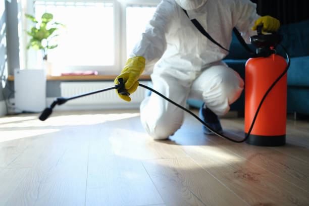 Reliable Odor Removal contractor in Provo, UT by Trauma Clean Pros